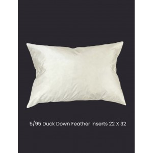 5/95 Duck Down/Feather Inserts 22 (Inch) X 32 (Inch)