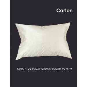5/95 Duck Down/Feather Inserts 22(Inch) X 32(Inch)-Carton of 10