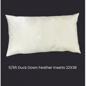 5/95 Duck Down/Feather Inserts 22 (Inch) X 38 (Inch)