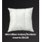 Premium Indoor/Outdoor Pillow 28(inch) x 28(inch)