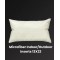 Premium Indoor/Outdoor Pillow 13(inch) x 22(inch)