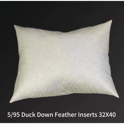  5/95 Duck Down/Feather Inserts 32 (inch) x 40 (inch) 