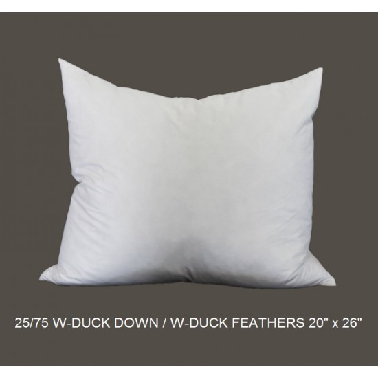 25/75 Duck Down/Feather Inserts 22" x 28"