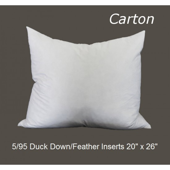 25/75 Duck Down/Feather Inserts 22" x 28" - Carton of 10