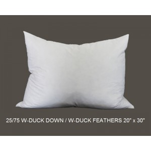 25/75 Duck Down/Feather Inserts 22 (inch) x 32 (inch)