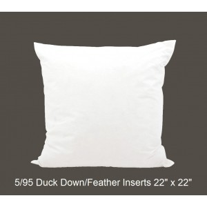 25/75 Duck Down/Feather Inserts 22 (inch) x 22 (inch)